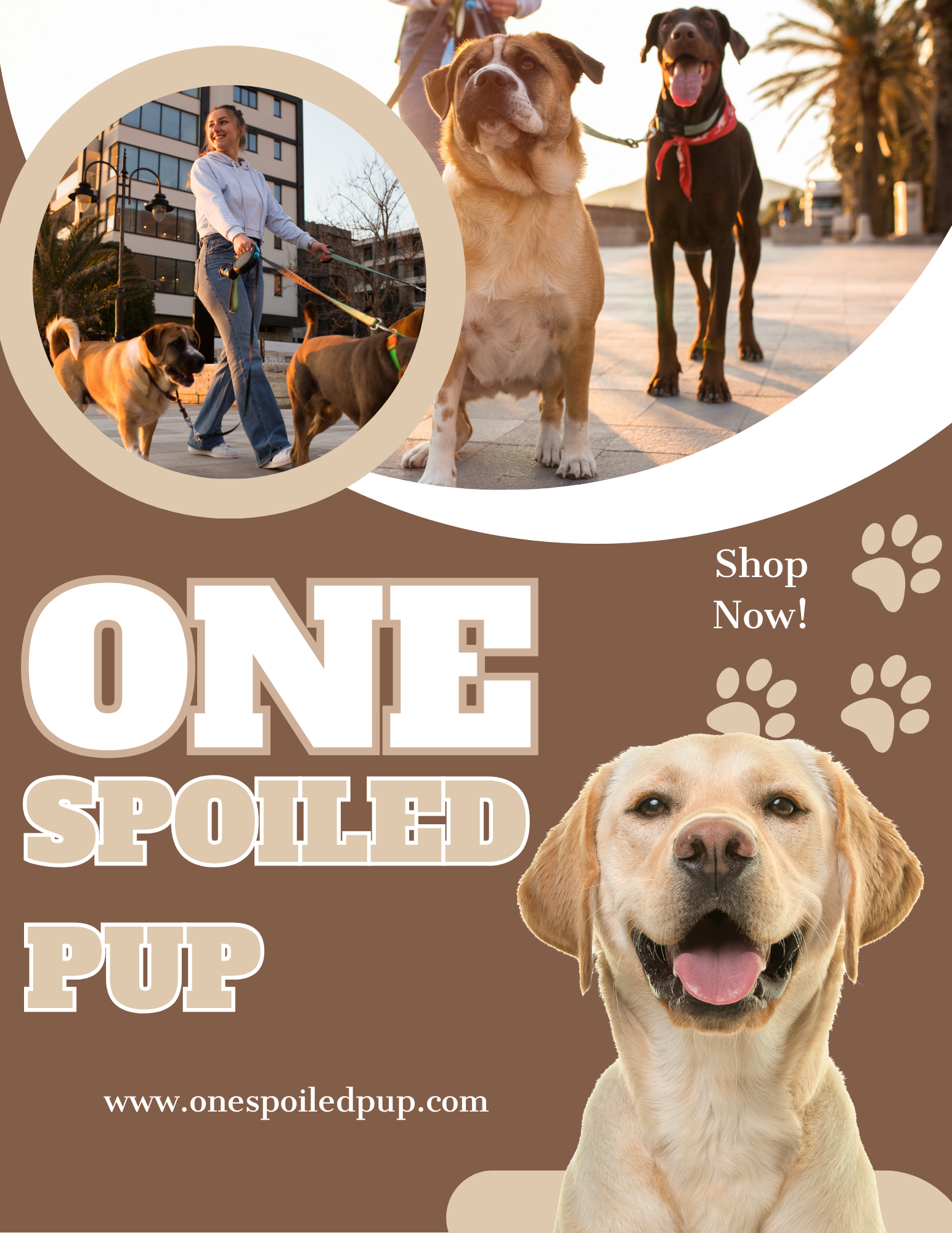 Autumn Walks: Keeping Your Dog Safe & Happy This Fall