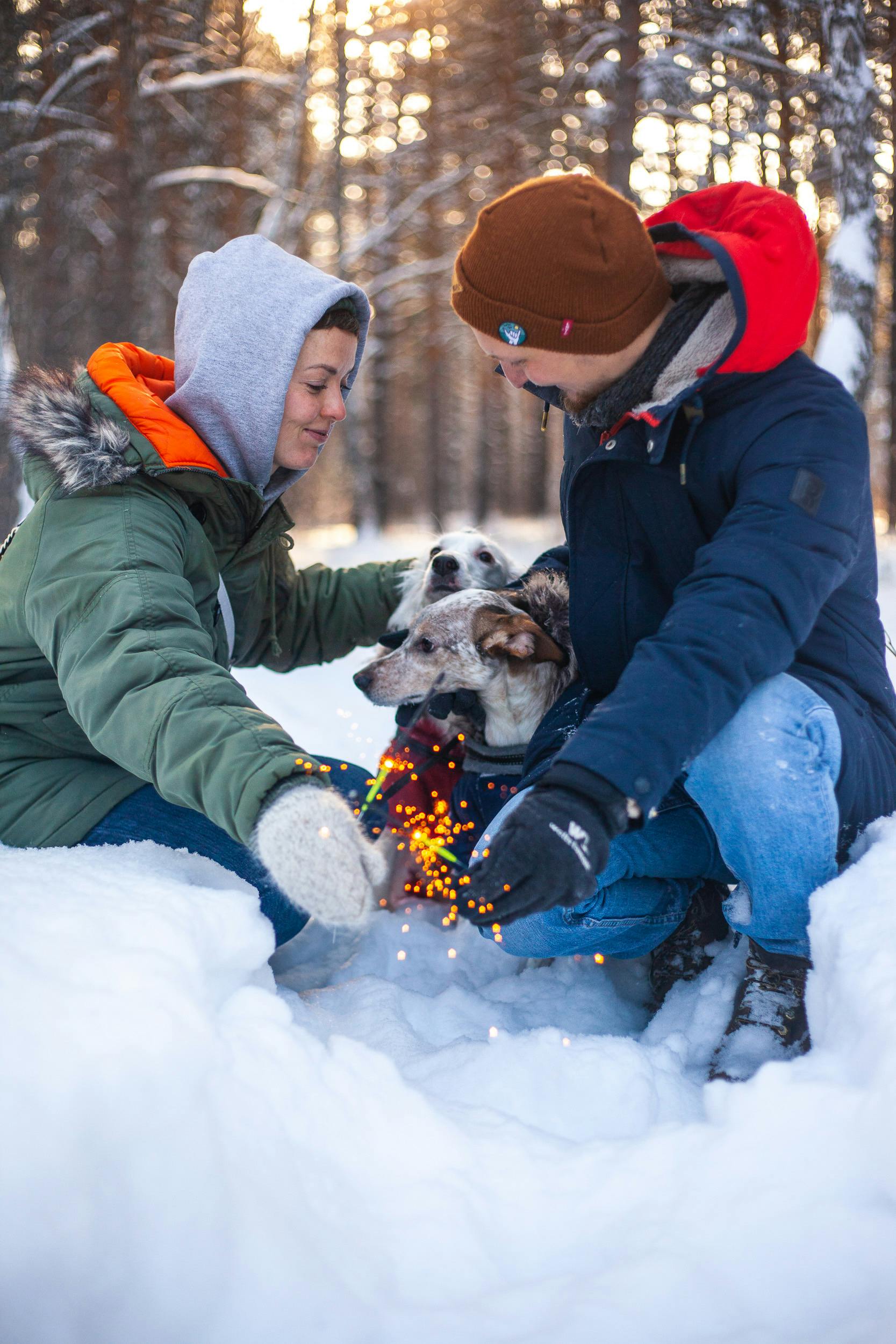 Dog Safety in Cold Weather