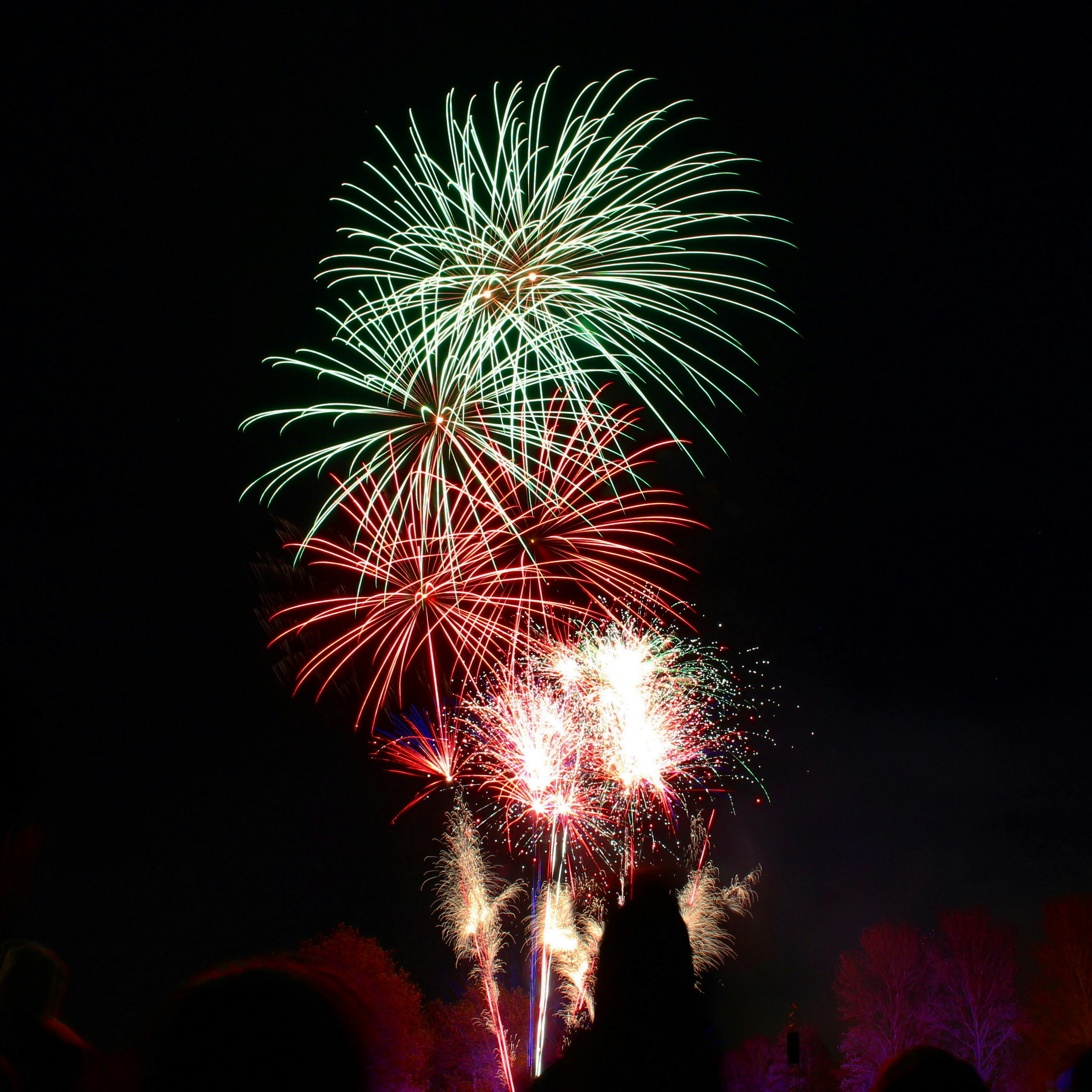 Pups and Fireworks