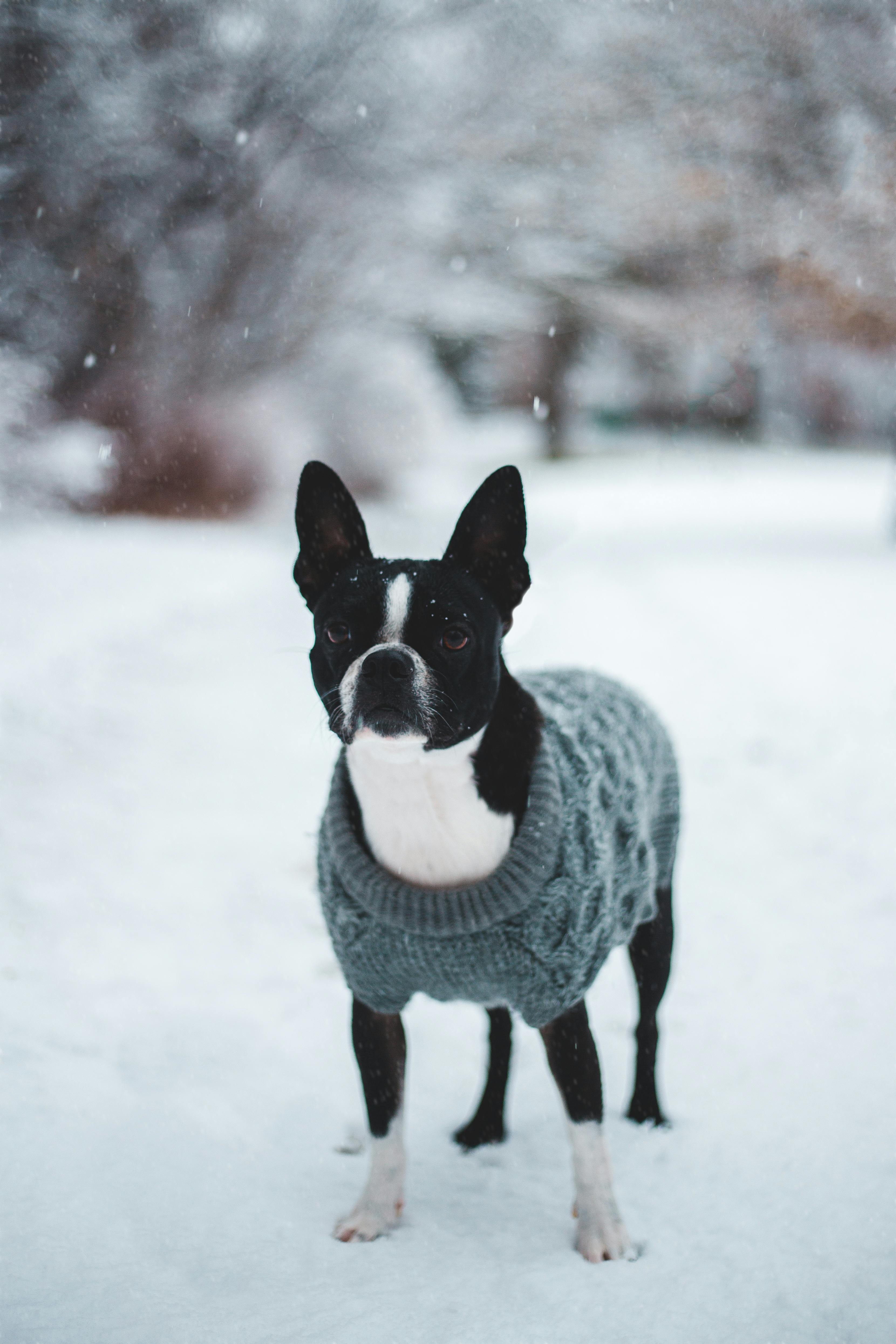 Sweater Weather