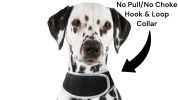 NEW Rechargeable GSM Cat Dog GPS Collar Tracking Device for Pet Safety Size:S